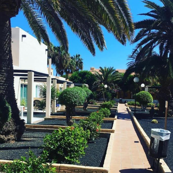 Corralejo Suite Pool & Gardens - Alisios Playa Luaran gambar